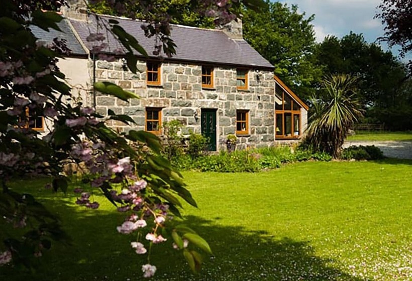 Tyddyn Morthwyl
