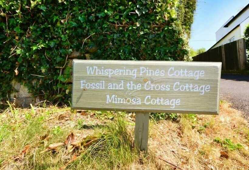 Whispering Pines Cottage
