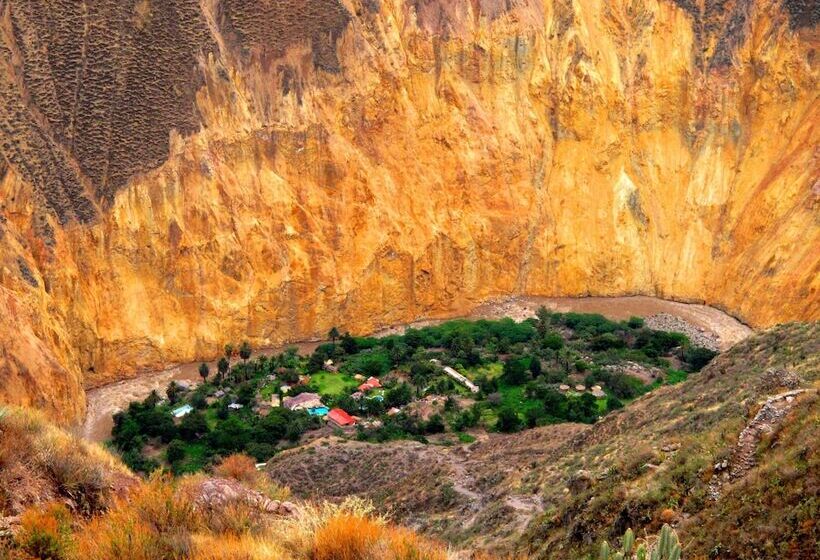 فندق صغير Paraiso Las Palmeras Lodge