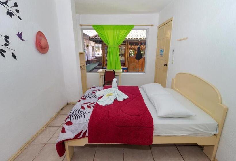 هاستل Santa Cruz Backpackers Hostal