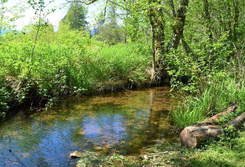 Cabin On The Creek