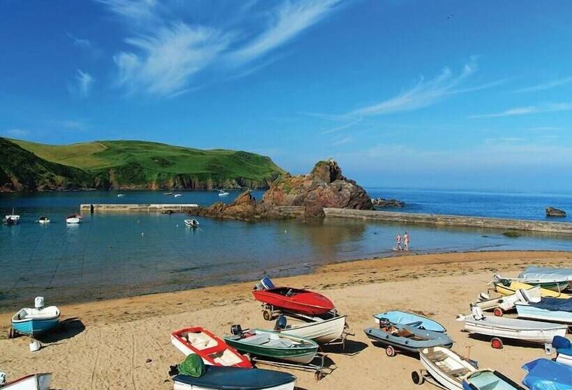 Cove View