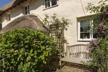 Higher Collaton Cottage