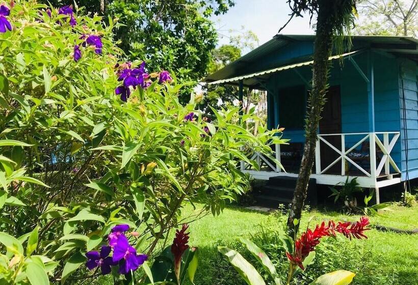 هتل All Rankins Eco Lodge