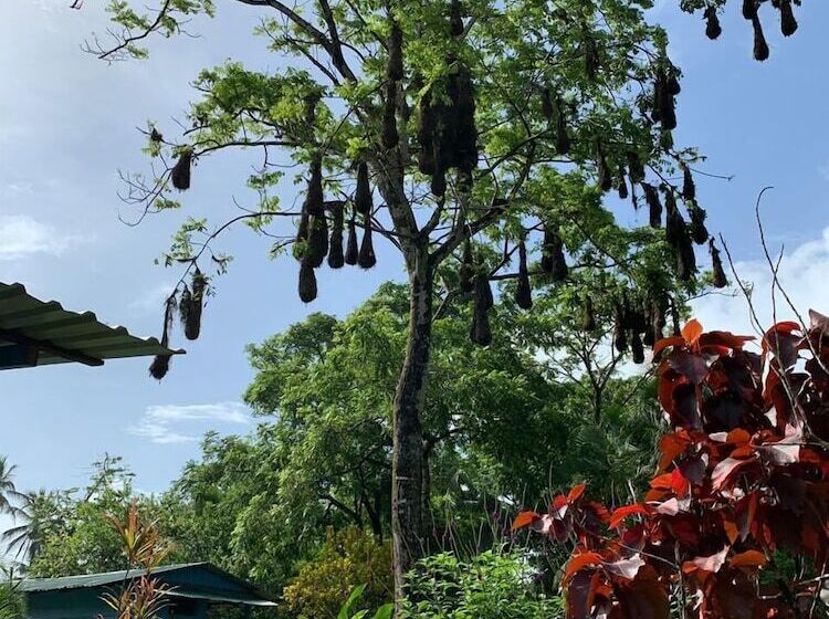 هتل All Rankins Eco Lodge