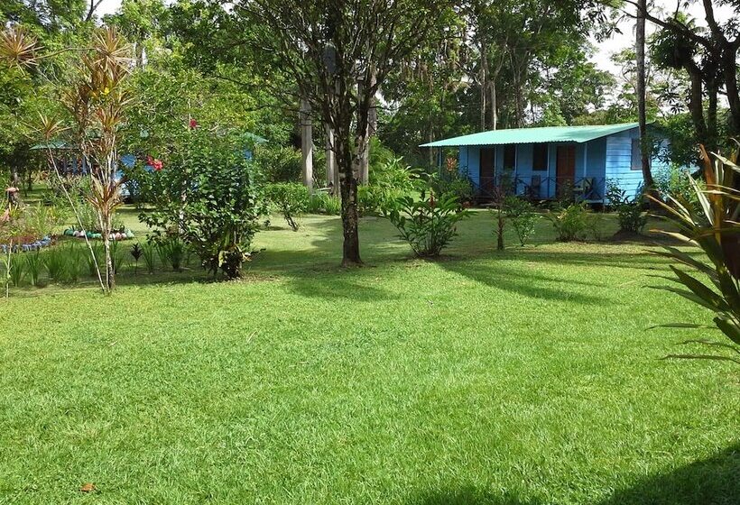 هتل All Rankins Eco Lodge