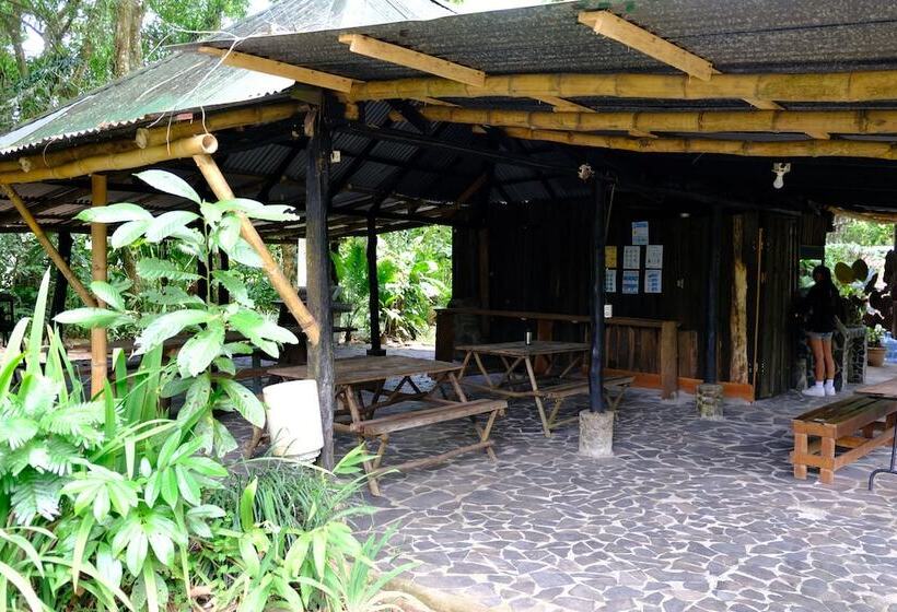 هتل Costa Rica Glamping