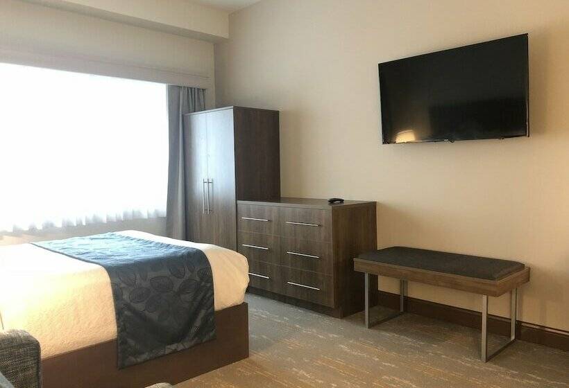 فندق Kodiak Compass Suites