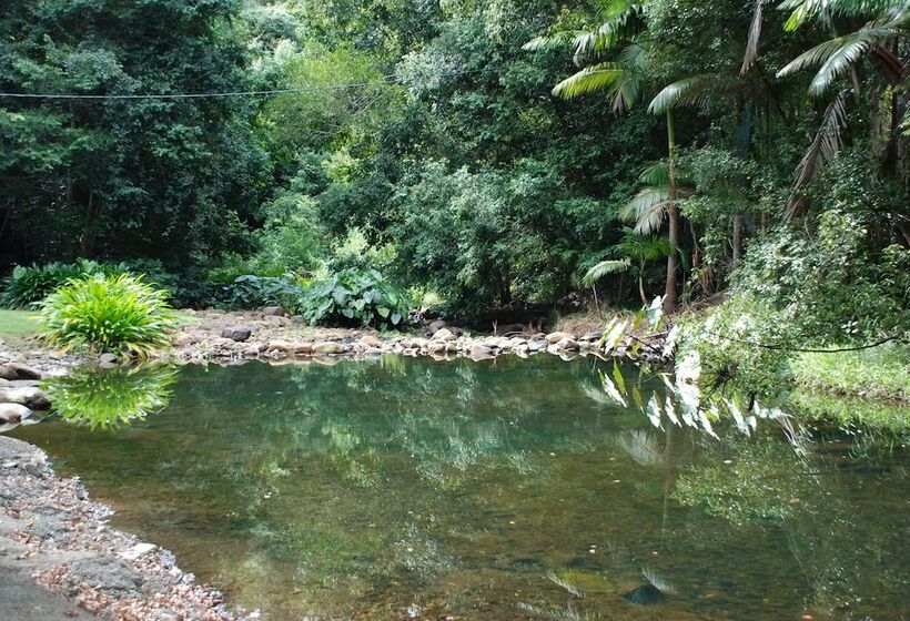 فندق Wollumbin Palms Rainforest Retreat