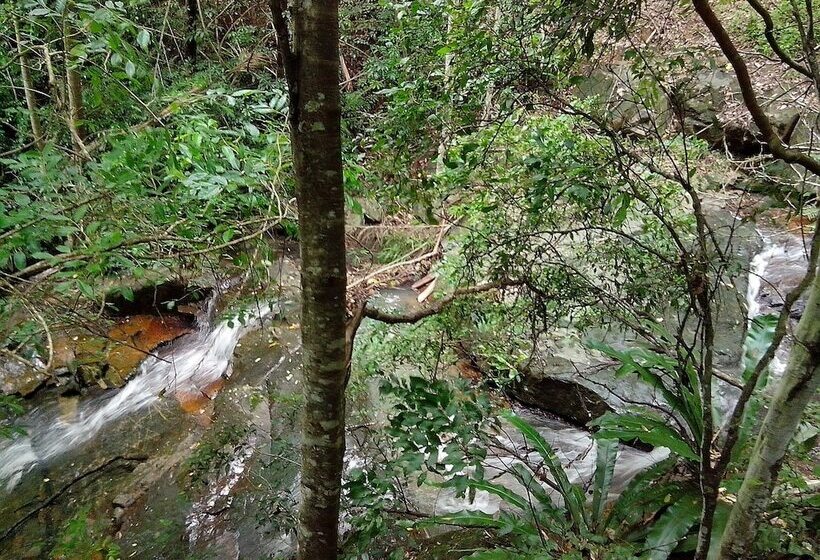 فندق Wollumbin Palms Rainforest Retreat