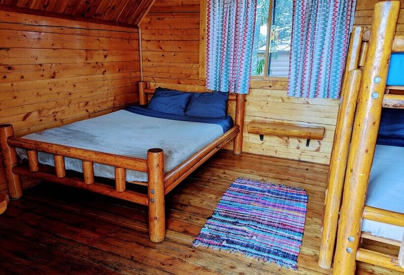 Kingman Koa