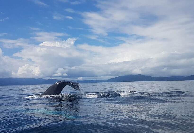 پانسیون Cabaña Kirita