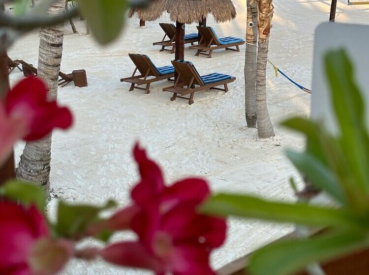 پانسیون Casa Luz Beach Front Holbox
