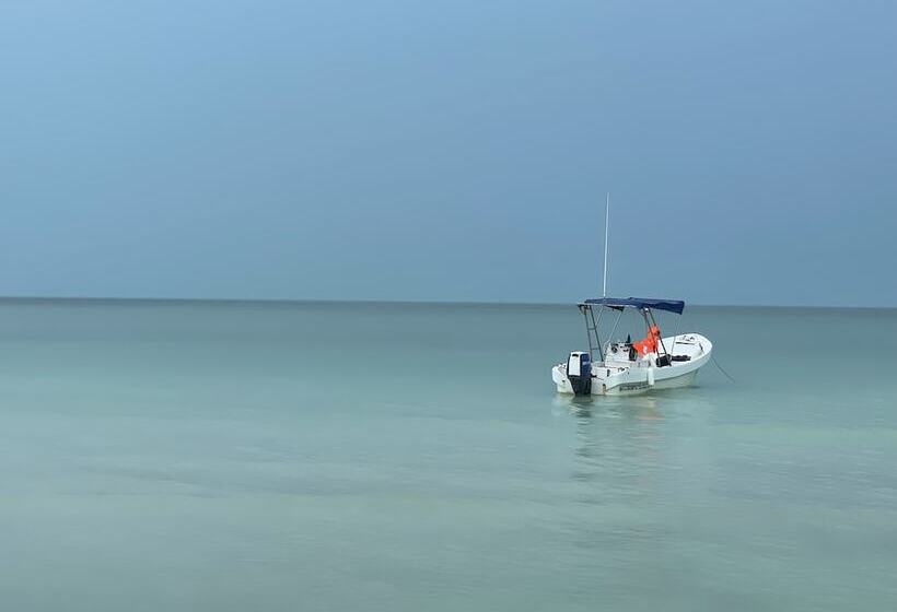 پانسیون Casa Luz Beach Front Holbox