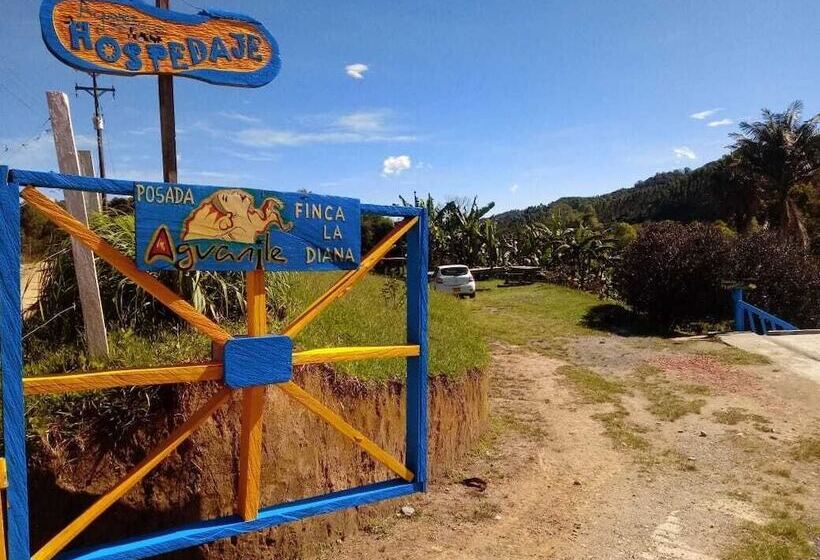 پانسیون Posada Aguanile Finca La Diana