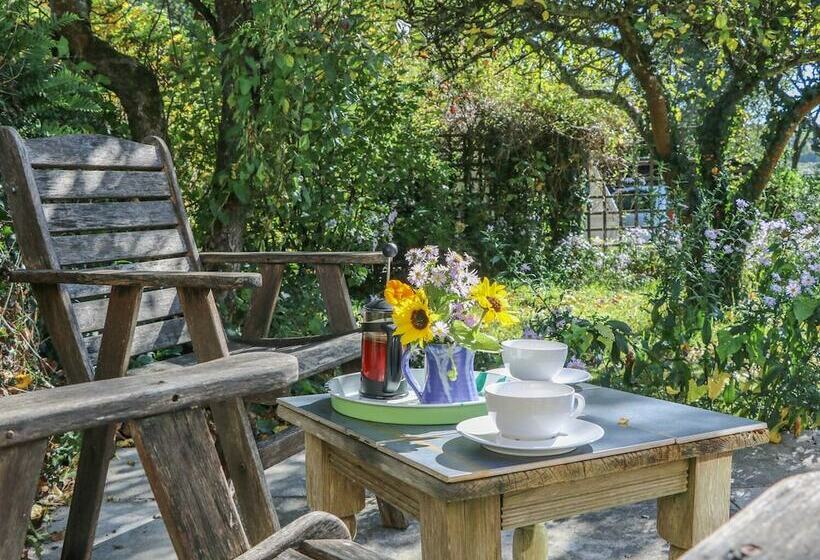 The Daffodil Shed