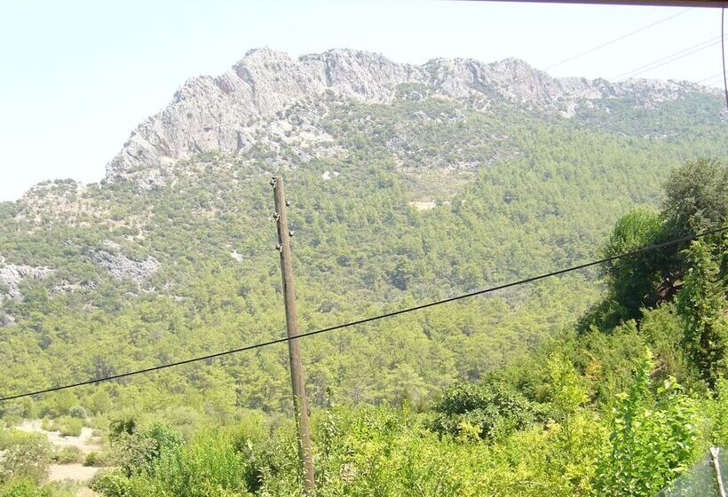 Waldvilla