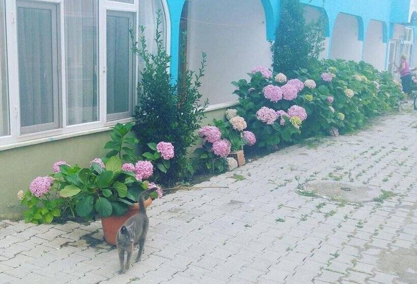 Ada Motel