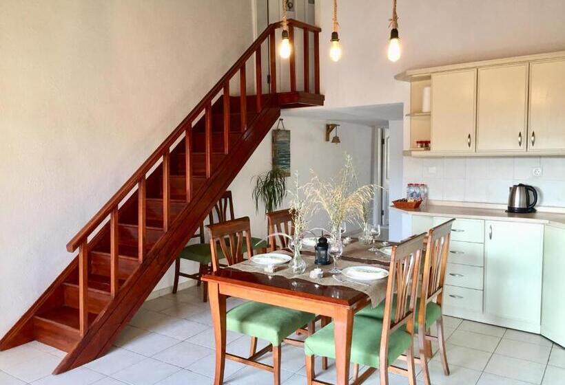 Amigo Apartments