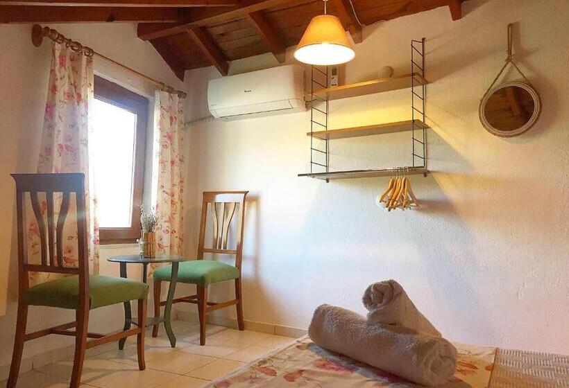 Amigo Apartments