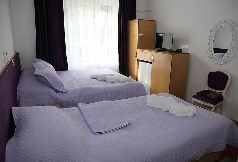 Antik Otel Unye