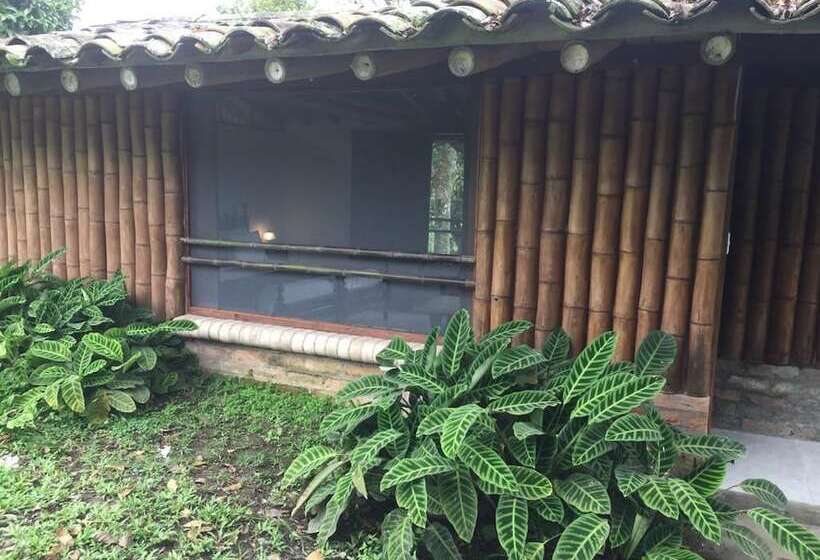 تختخواب و صبحانه Finca Villa Nora