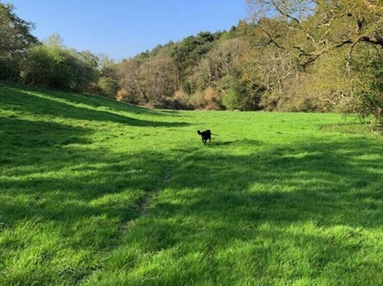 مبيت وإفطار Bridge Cottage