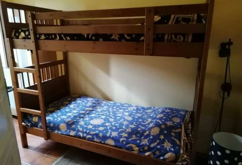 Forest View B&b