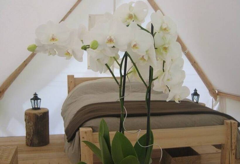 בית מלון כפרי Altipik   Lodges Insolites