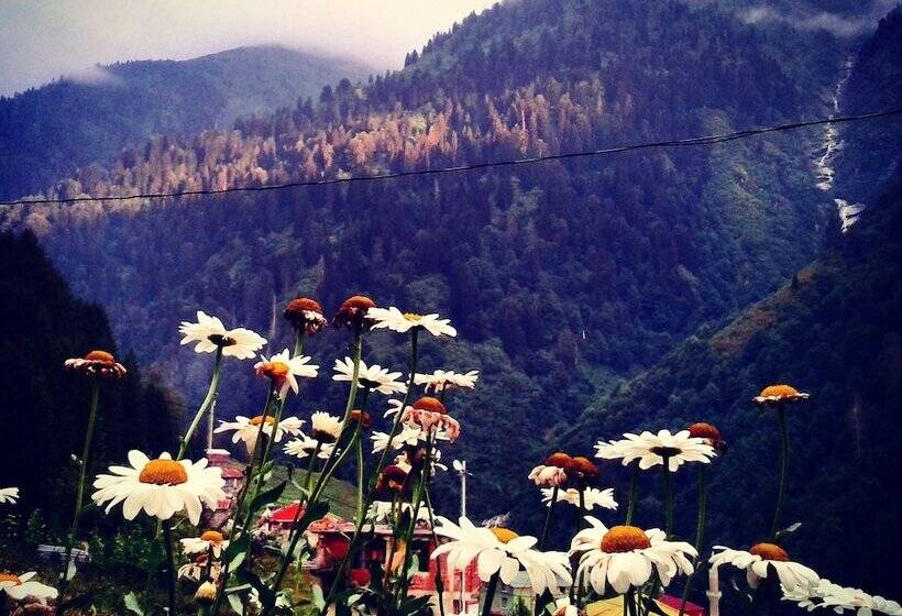 هتل Ayder Liligum Dag Evi