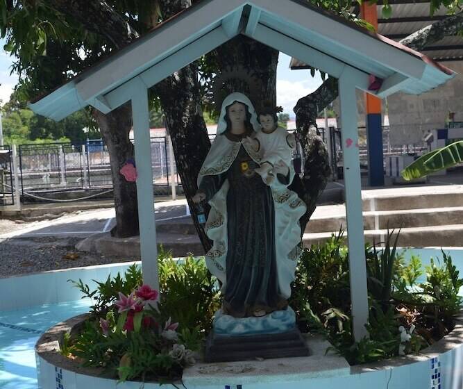 هتل Lagos Mar Espinal