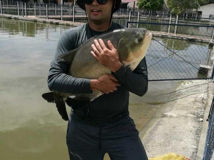 هتل Lagos Mar Espinal