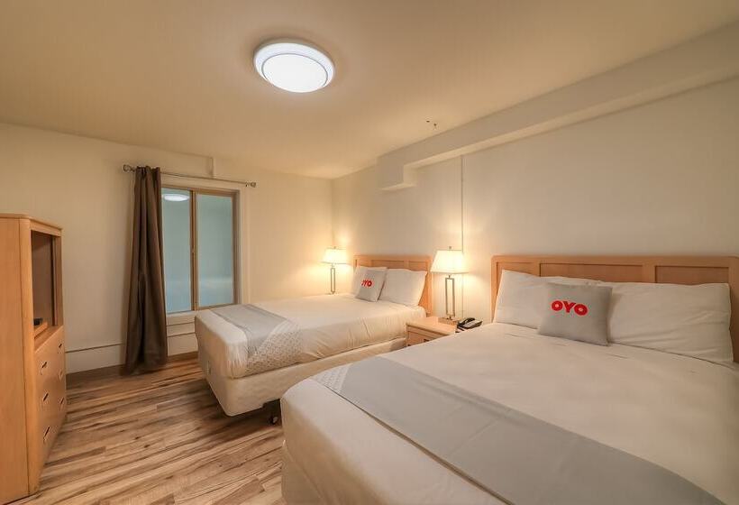 בית מלון כפרי Newport Inn & Suites By Oyo Rooms