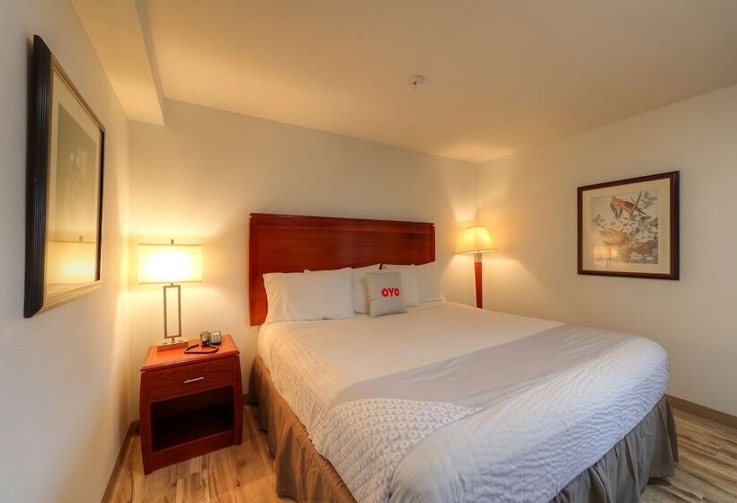 هتل Newport Inn & Suites By Oyo Rooms