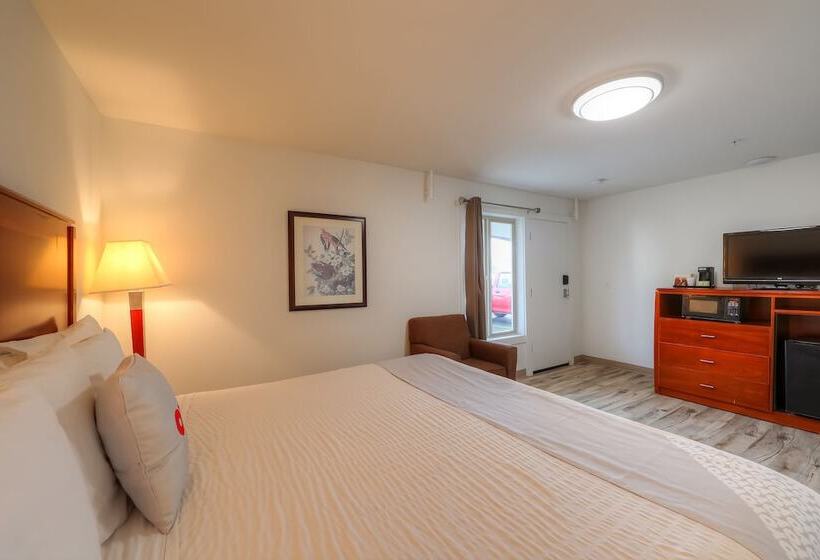 בית מלון כפרי Newport Inn & Suites By Oyo Rooms