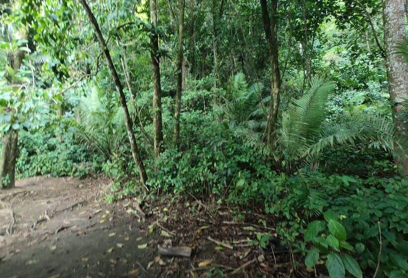 هتل Pacific Lodge