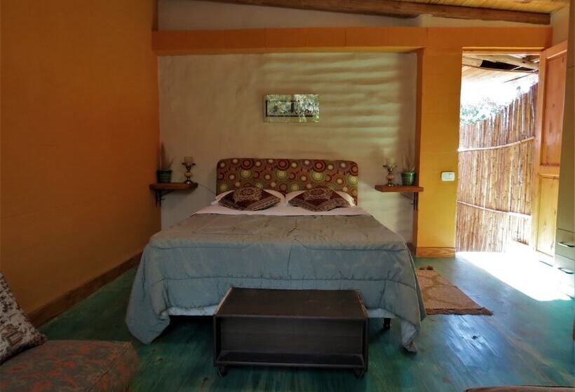 ペンション Eco Veggie Hostel Balaramapuri