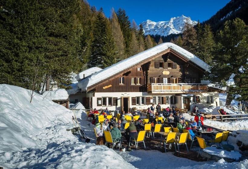 פנסיון Gite Du Prilet