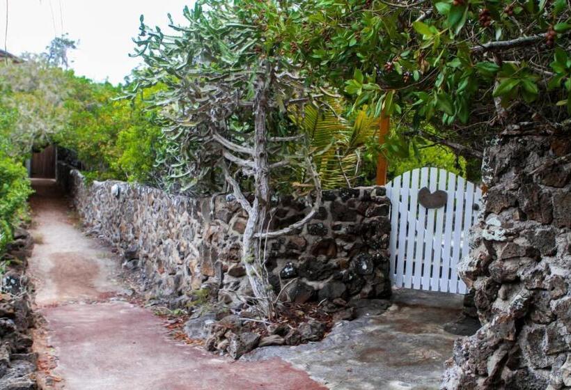 پانسیون Jean's Home