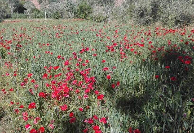 بنسيون Kasbah Tasseurte