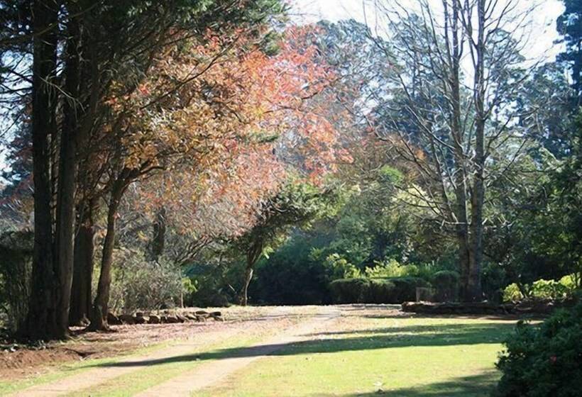 פנסיון Thatchings Guest House