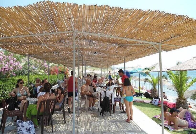 Teras Motel