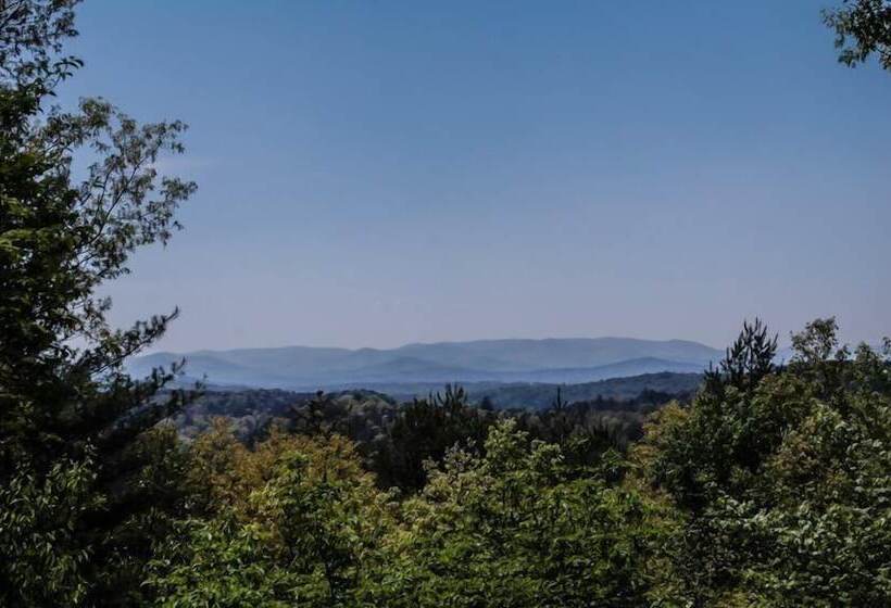 The Long View
