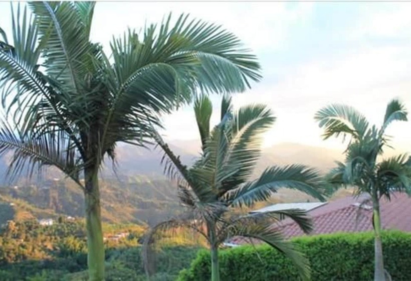 تختخواب و صبحانه Velez Del Campo