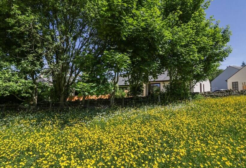 Buttercup Cottage