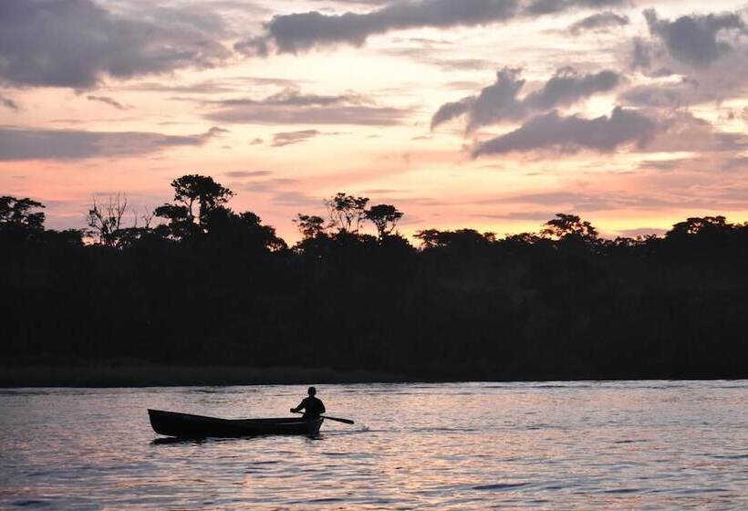 Casa Turtle Bogue   Hostel