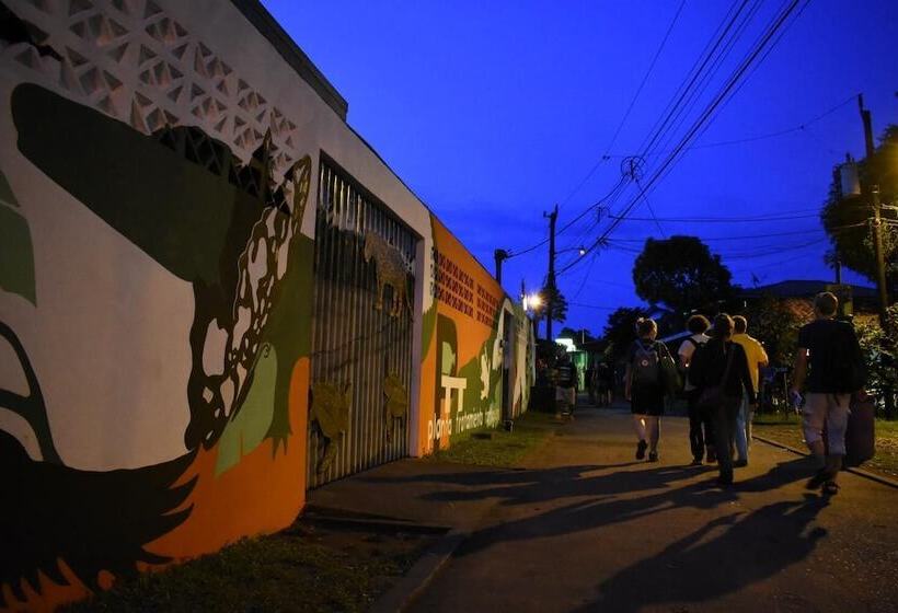 Casa Turtle Bogue   Hostel