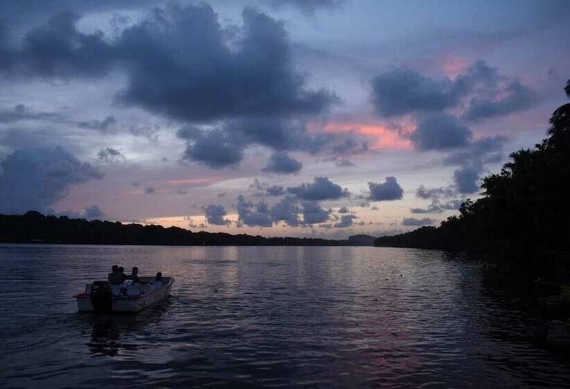 Casa Turtle Bogue   Hostel