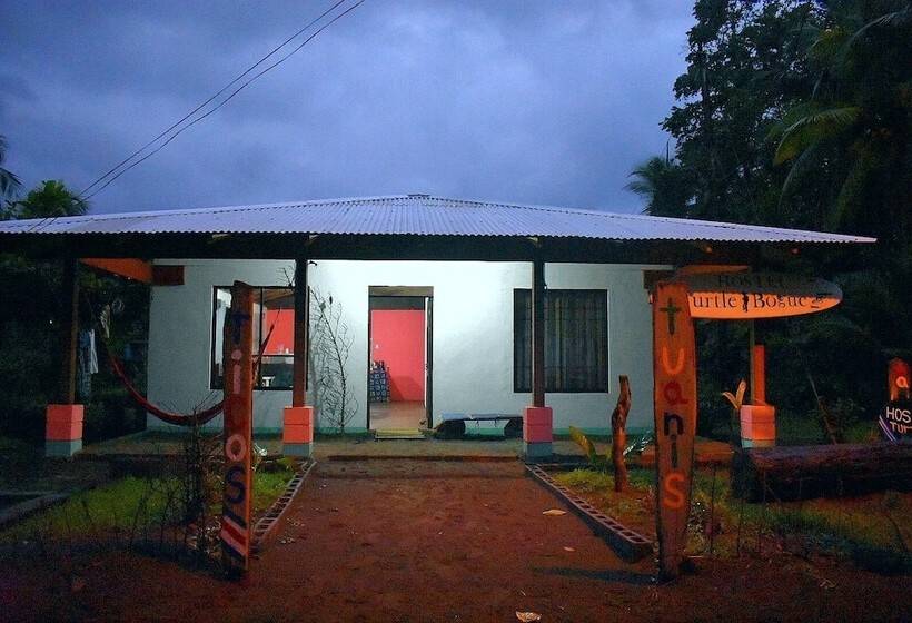 Casa Turtle Bogue   Hostel