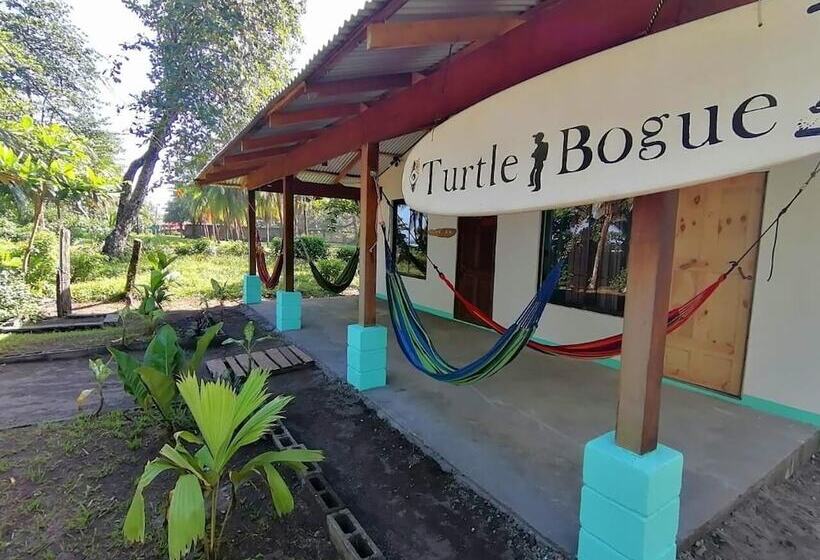 Casa Turtle Bogue   Hostel